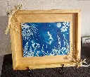 Cyanotype so creativ