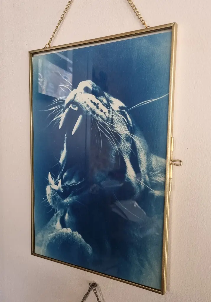 Cyanotype so creativ leopard