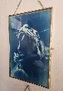 Cyanotype so creativ leopard