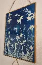 Cyanotype so creativ fleur