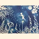 Fairy Forest