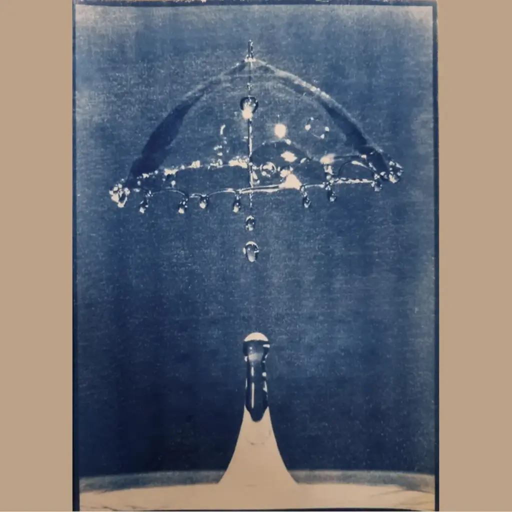 L'Eau Parapluie