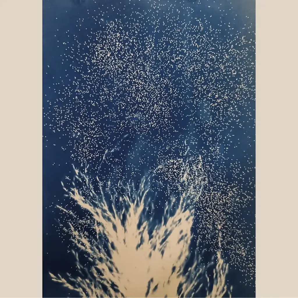 Scintillance Hivernale