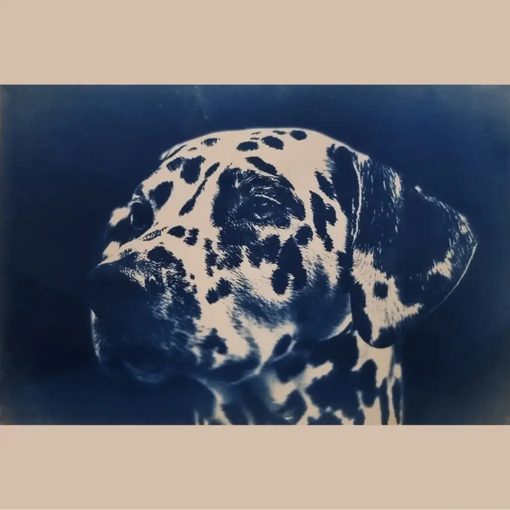 Dalmatien