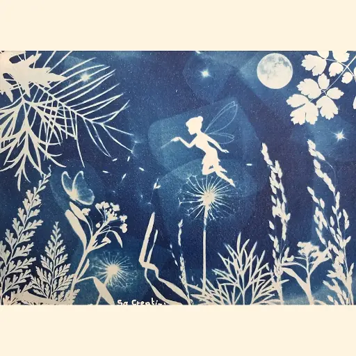 [Cyanotype 1] Forêt Féérique
