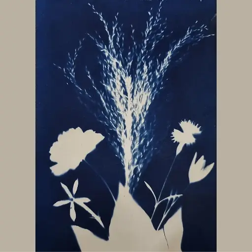 [Cyanotype 16] Bouquet d'été