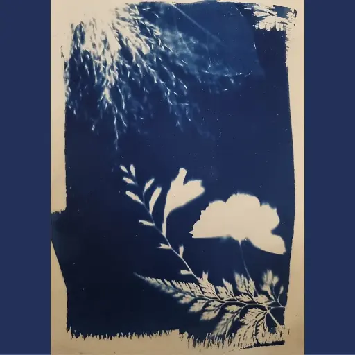 [Cyanotype 20] It's Spring