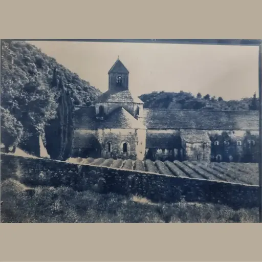 [Cyanotype 21] Abbaye de Sénanque