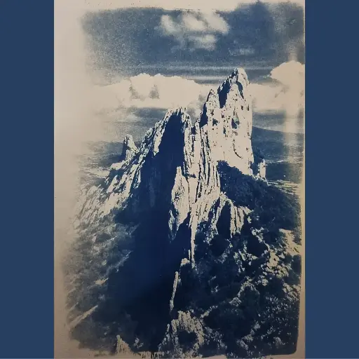 [Cyanotype 37] Dentelles de Montmirail