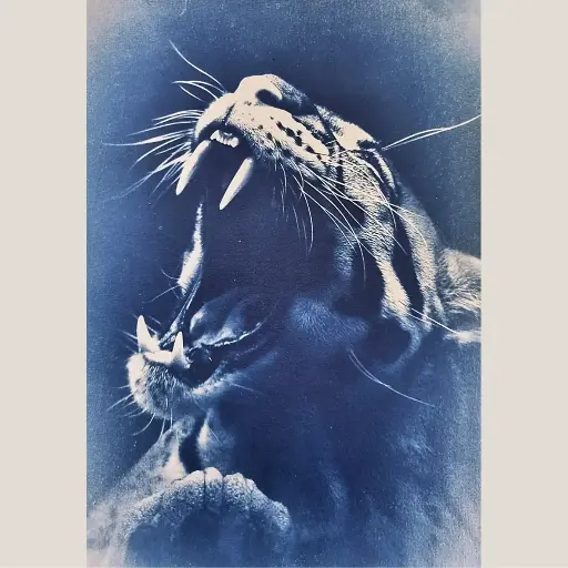 [Cyanotype 49] Blue Leopard