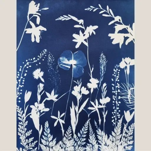 [Cyanotype 50] My Garden